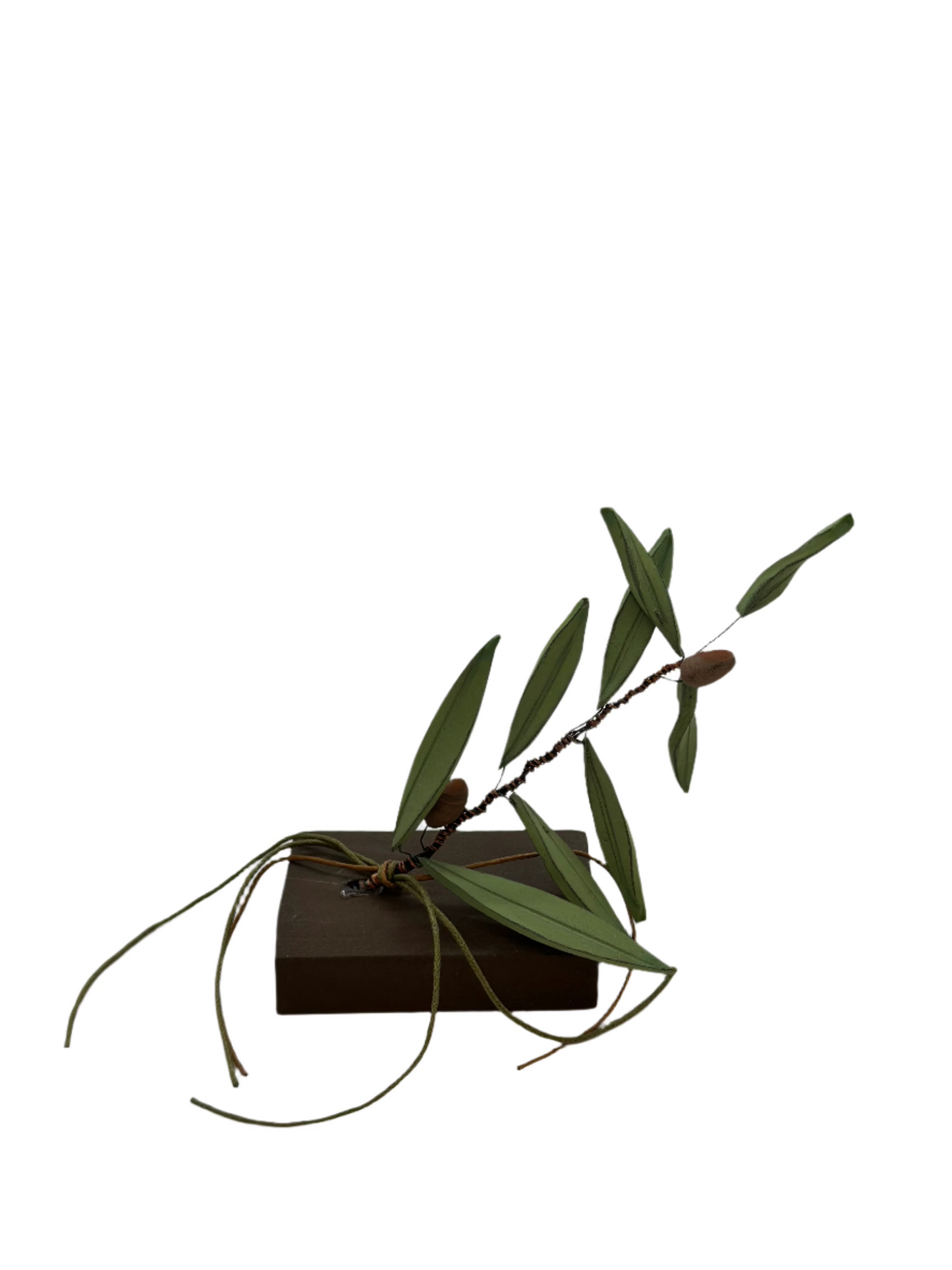 Olive Branch (Κλαδί Ελιάς)